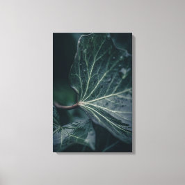 Ivy Löv Nature Photo Canvastryck