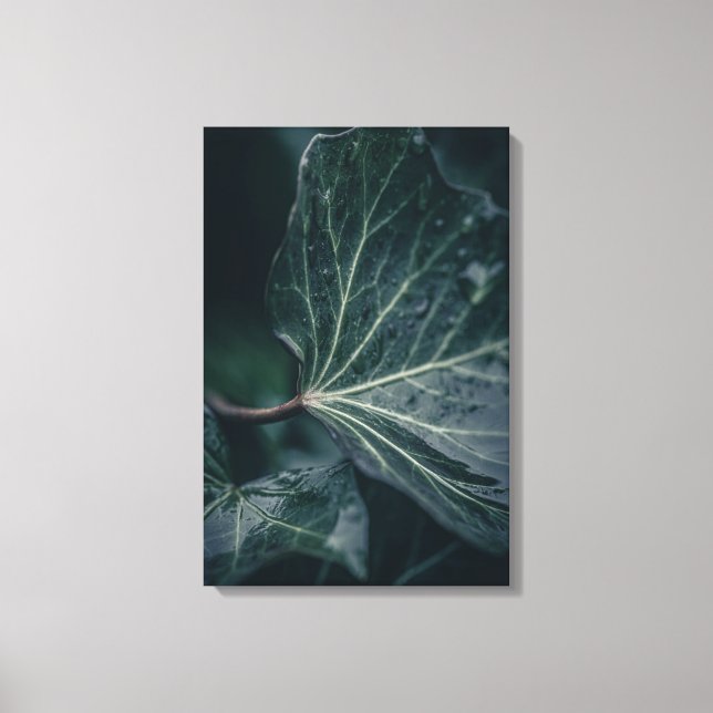 Ivy Löv Nature Photo Canvastryck (Framsida)