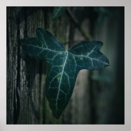 Ivy Löv Nature Photo Poster