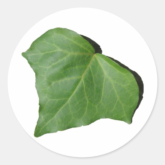 Ivy Löv Runt Klistermärke (Framsida)