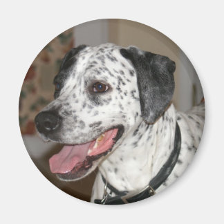Ivy Magnet