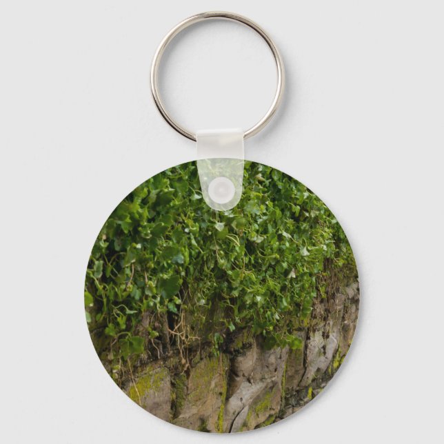 Ivy-muren Nyckelring (Framsida)