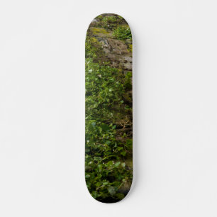 Ivy-muren Old School Skateboard Bräda 21,6 Cm