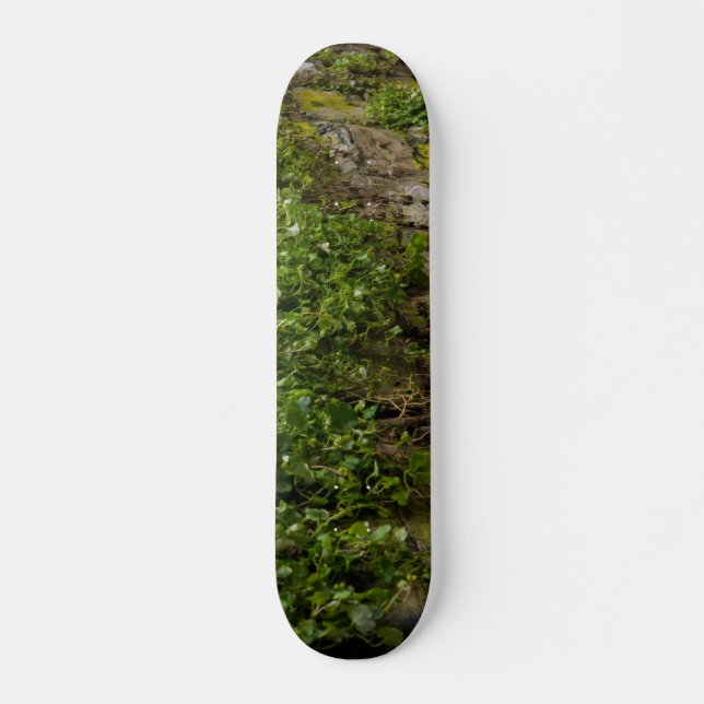 Ivy-muren Old School Skateboard Bräda 21,6 Cm (Framsida)