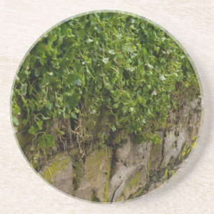 Ivy-muren Underlägg