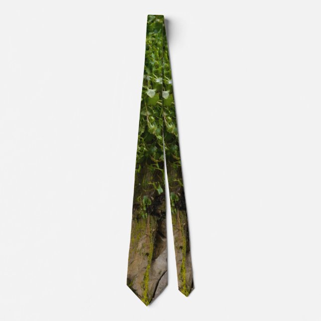 Ivy Neck Tie-muren Slips (Framsida)