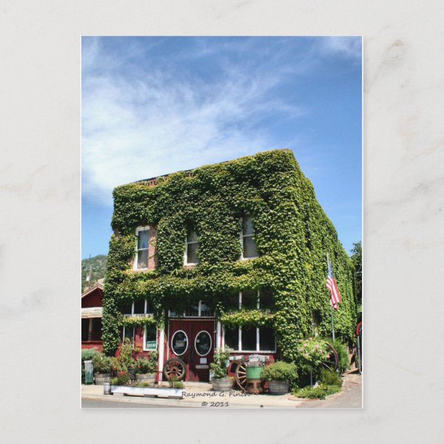 Ivy och Ålder Vykort (Framsida)