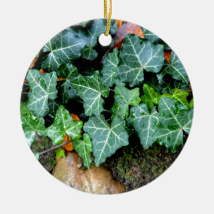 Ivy och fält-sten julgransprydnad keramik