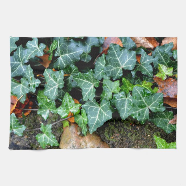 Ivy och fält-sten kökshandduk (Horisontell)