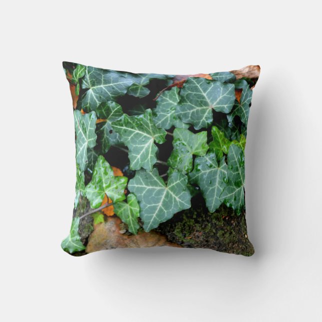 Ivy och fält-sten kudde (Framsida)