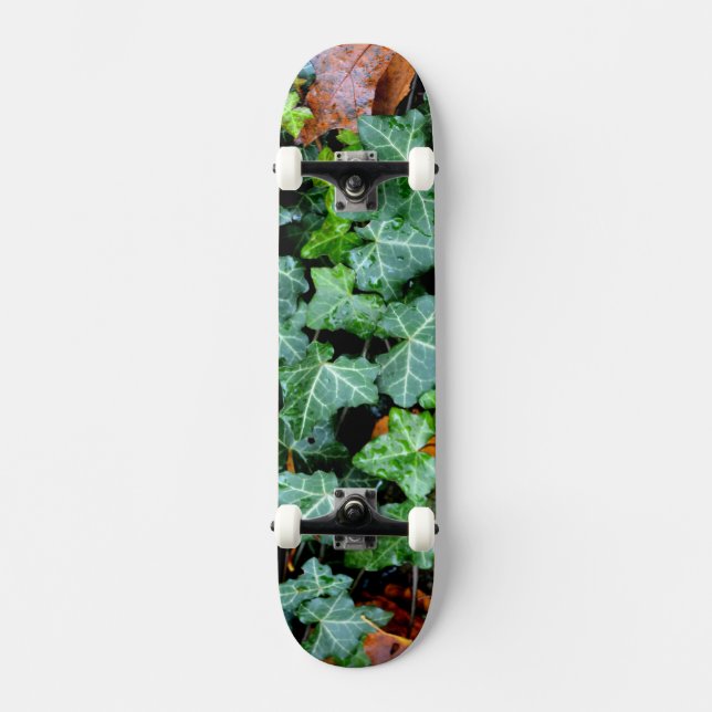 Ivy och fält-sten old school skateboard bräda 21,6 cm (Framsida)