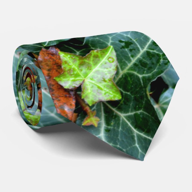 Ivy och fält-sten slips (Rullad)