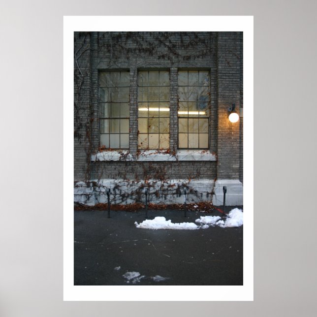 Ivy och Ljus Poster (Framsidan)