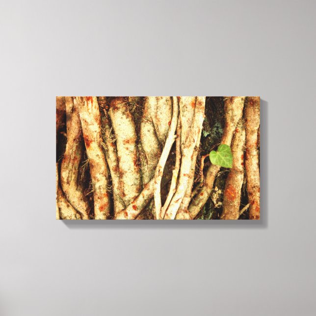 Ivy On Oak Canvastryck (Framsida)