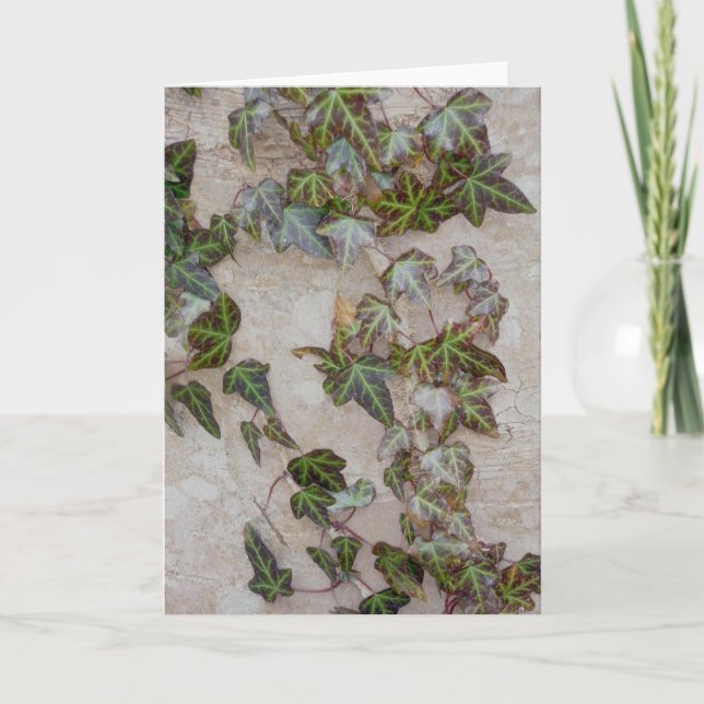 Ivy på Träd Trunk Helgkort (Framsida)