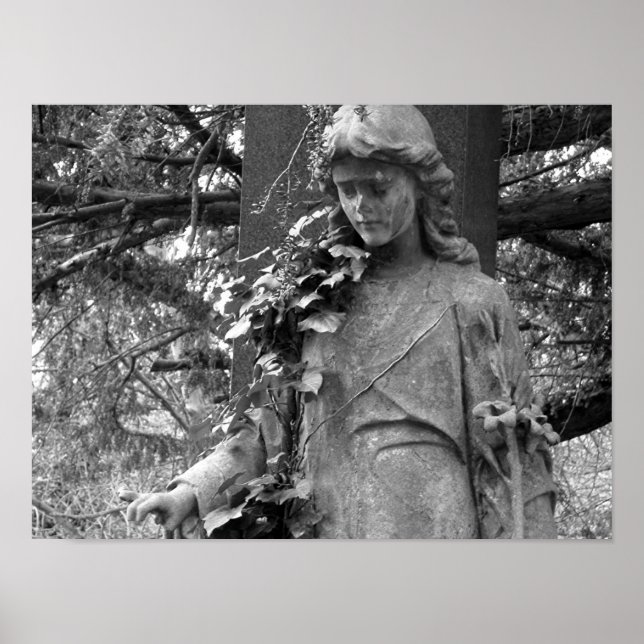 Ivy Poster (Framsidan)