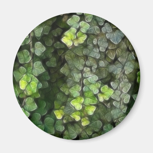 Ivy Vine 6 Magnet (Framsidan)