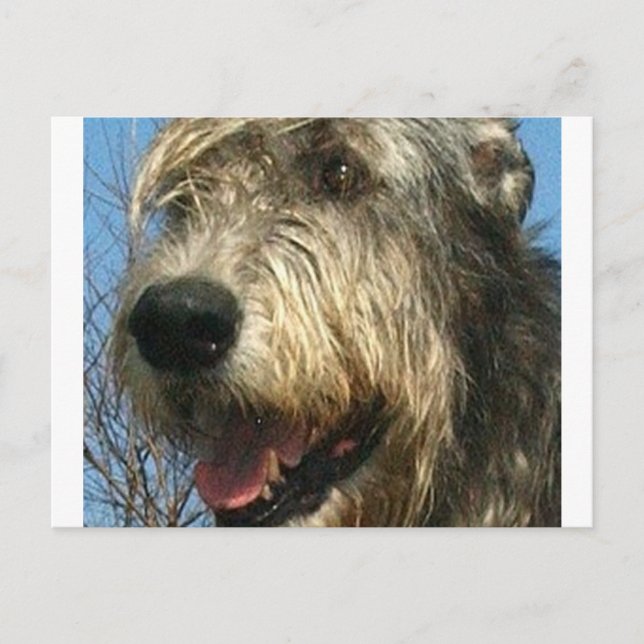 iw.png vykort (Framsida)