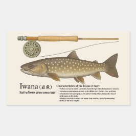Iwana (Salvelinus leucomaenis) – Engelsk illustrat Rektangulärt Klistermärke