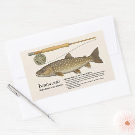 Iwana (Salvelinus leucomaenis) – Engelsk illustrat Rektangulärt Klistermärke