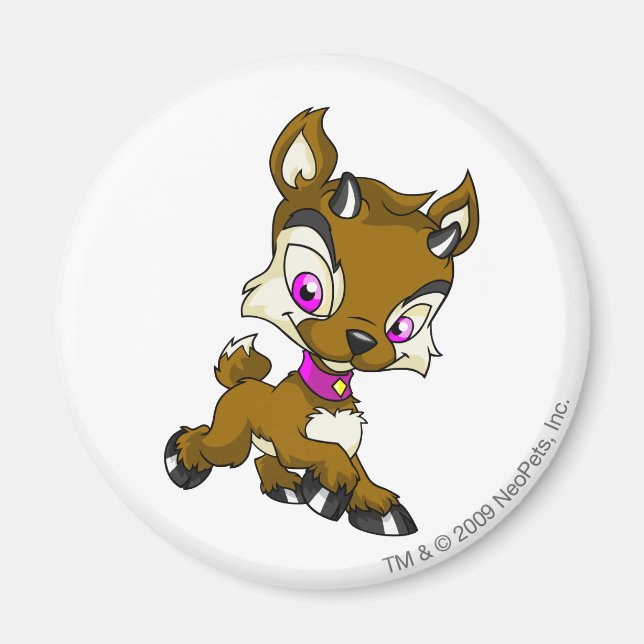 Ixi Brown Magnet (Framsidan)