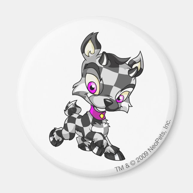 Ixi Checkered Magnet (Framsidan)