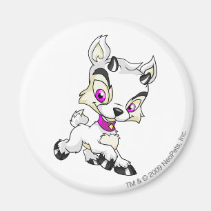 Ixi vit magnet