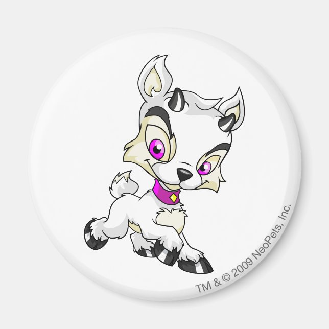 Ixi White Magnet (Framsidan)