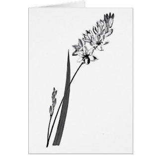 Ixia Erecta Hälsningskort