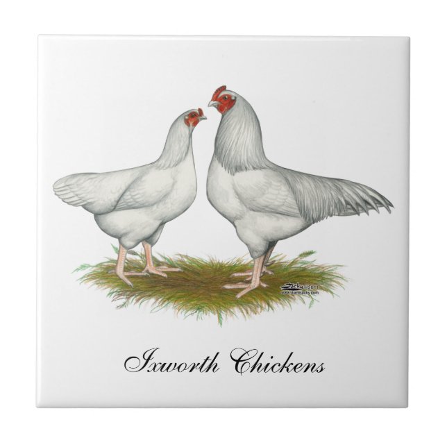 Ixworth Chickens Kakelplatta (Framsidan)