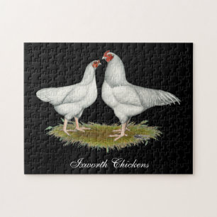 Ixworth Chickens Pussel