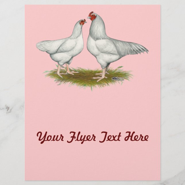 Ixworth Chickens Reklamblad (Framsidan)
