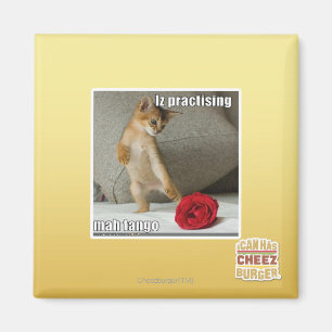 Iz praktisera mah tango magnet