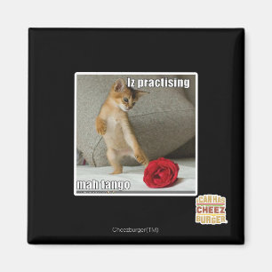 Iz praktisera mah tango magnet