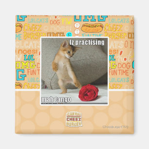 Iz praktisera mah tango magnet
