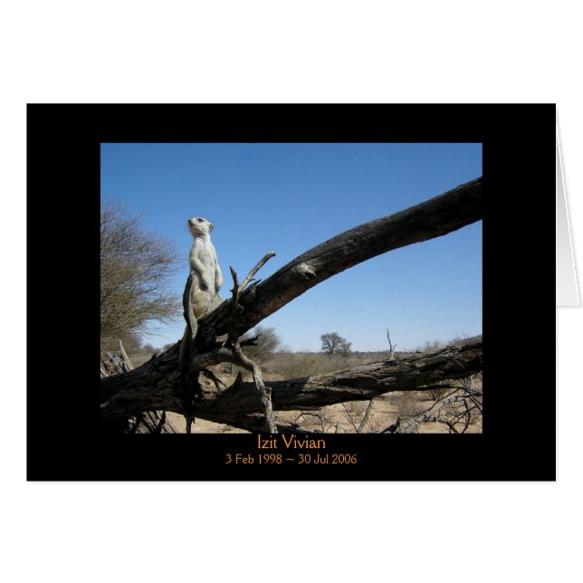 Izit - legendkort hälsningskort (Framsidan Horizontal)