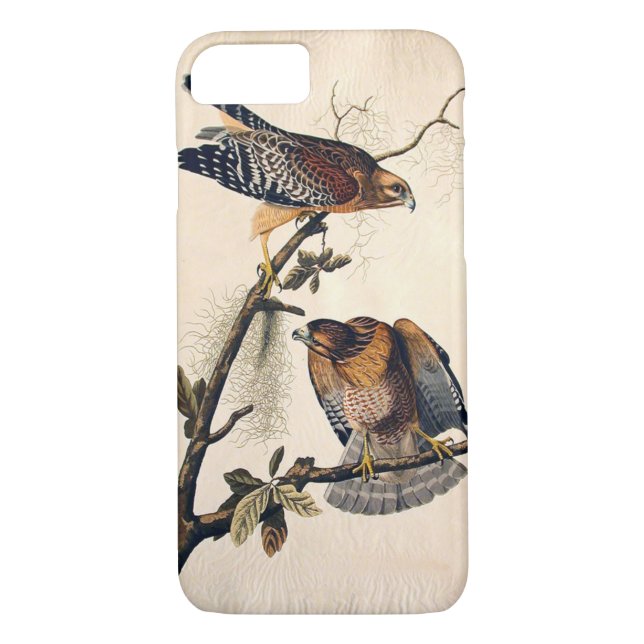 J. Audubon (röd knuffad hök) (1829) Case-Mate iPhone Skal (Baksida)