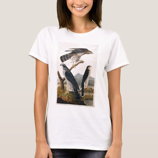 J.J. Audubon (Goshawk, Stanley hök) (1829) Tee (Framsida)