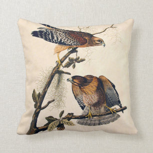 J.J. Audubon (röd knuffad hök) (1829) Kudde