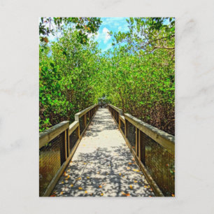 J N Ding Darling National Wildlife Refuge Postcard Vykort