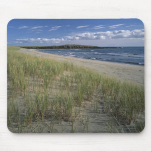 J.T. Chessman Provincial Park, dyngräs Musmatta