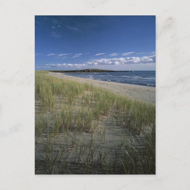J.T. Chessman Provincial Park, Dynsand Vykort (Framsida)