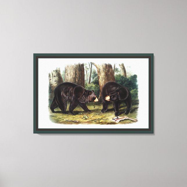 J.W. Audubon - Ursus Americanus (Black Bear) Canvastryck (Framsida)