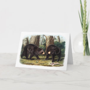 J.W. Audubon - Ursus Americanus Black Bear Kort