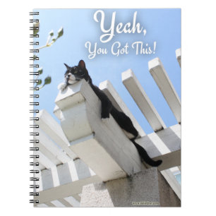 Ja, du Har Motivational Cat Photo Påstående Anteckningsbok