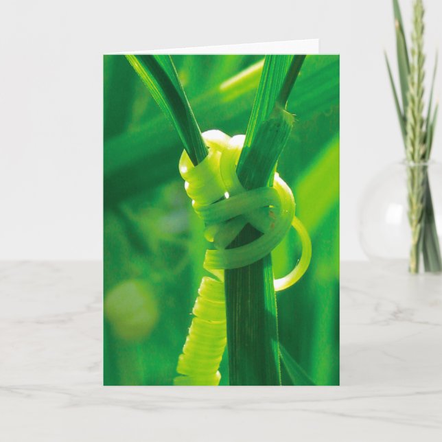 Ja, du klarar det! Rosie the Riveter klätterväxt Kort (Framsida)