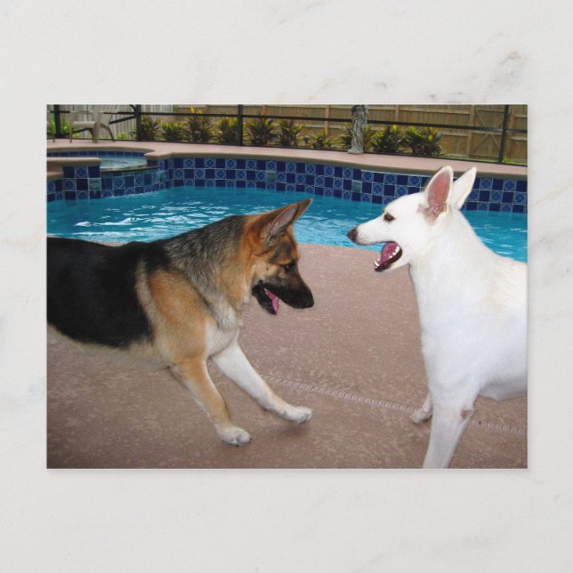 Ja Ers Majestät ~ Vykort (Framsida)