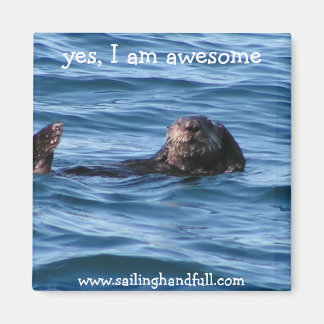 Ja, jag är fantastisk havsmussla magnet