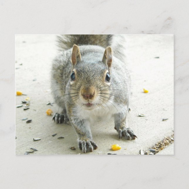 "Ja, jag skulle vilja ha något matkort" Vykort (Framsida)