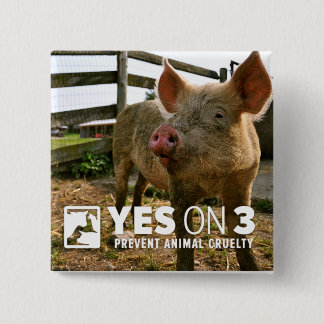 Ja på 3! Kortkortet knäppas Knapp